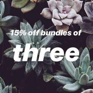 Bundles